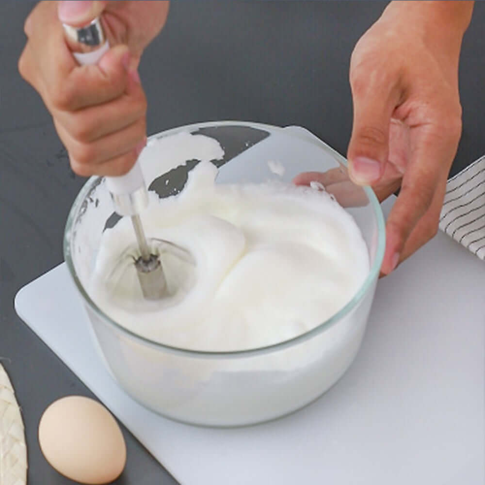 Electric Food Chopper / Mini Food Processor